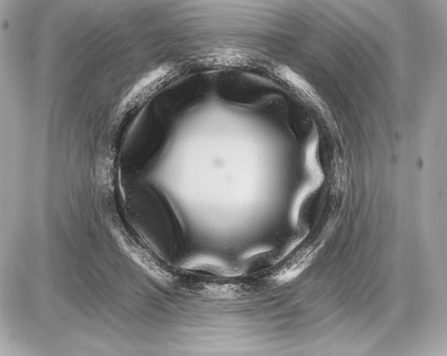 X0000085840450200704091727