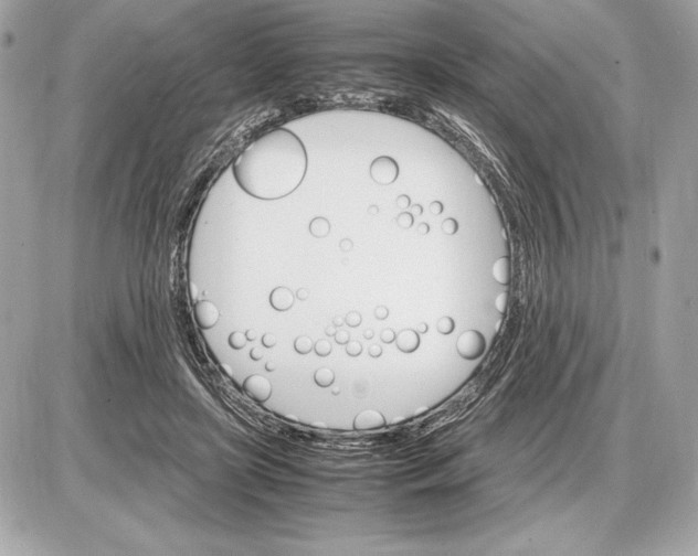 X0000085840451200704091728