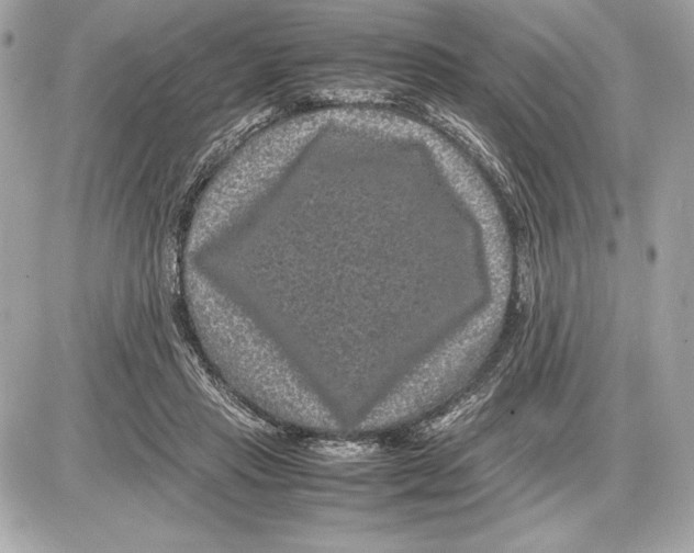 X0000085840453200704091728