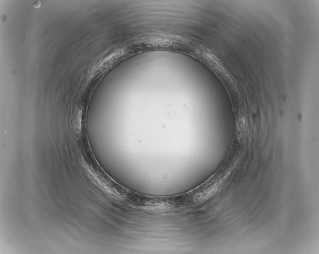 X0000085840454200704091728