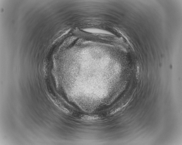 X0000085840455200704091728