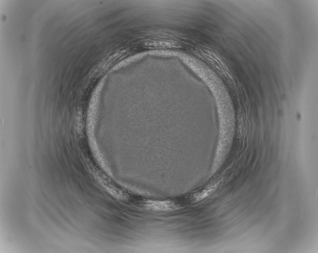 X0000085840457200704091728