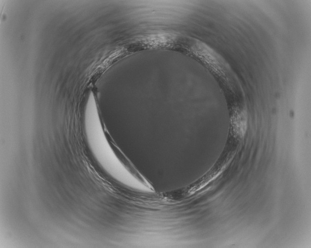 X0000085840458200704091728