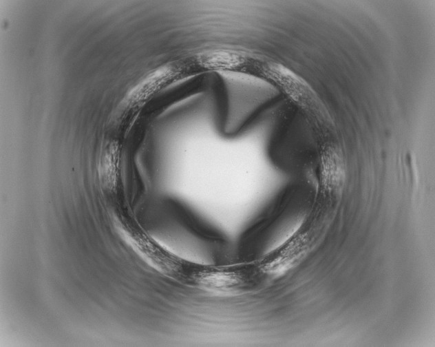 X0000085840460200704091728