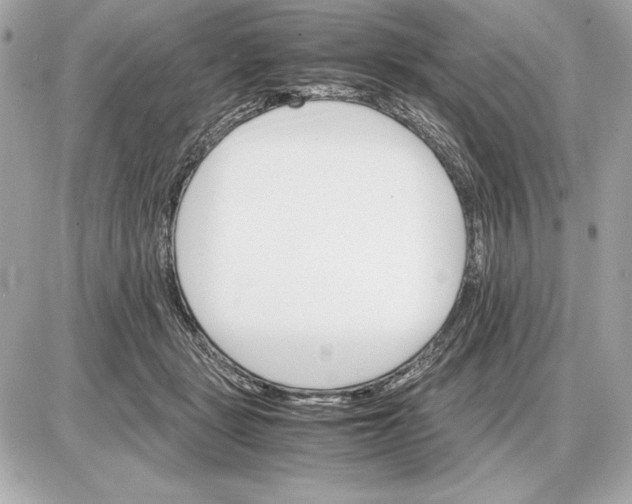 X0000085840461200704091728