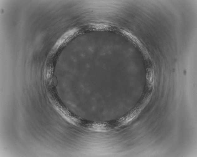 X0000085840462200704091728