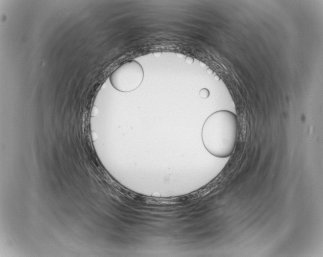 X0000085840463200704091728