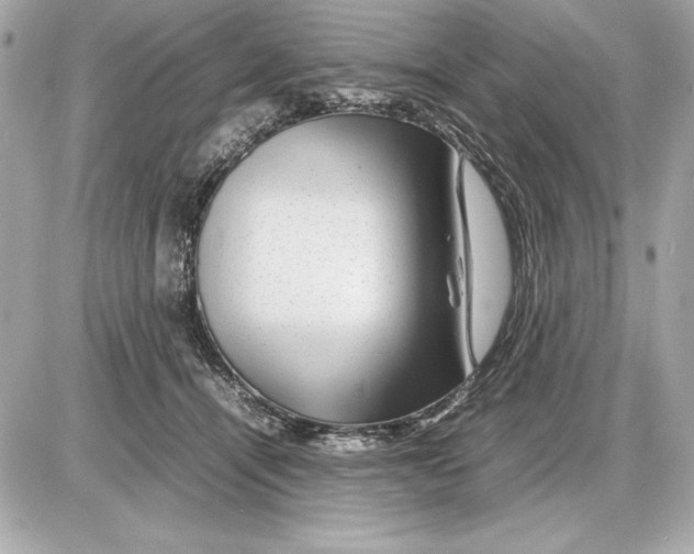 X0000085840464200704091728