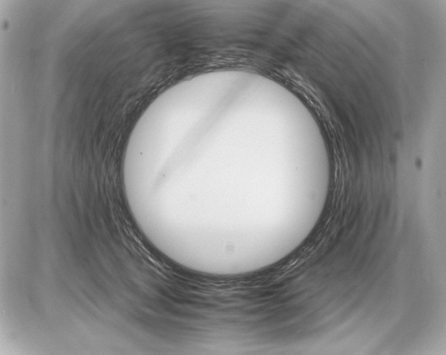 X0000085840465200704091728