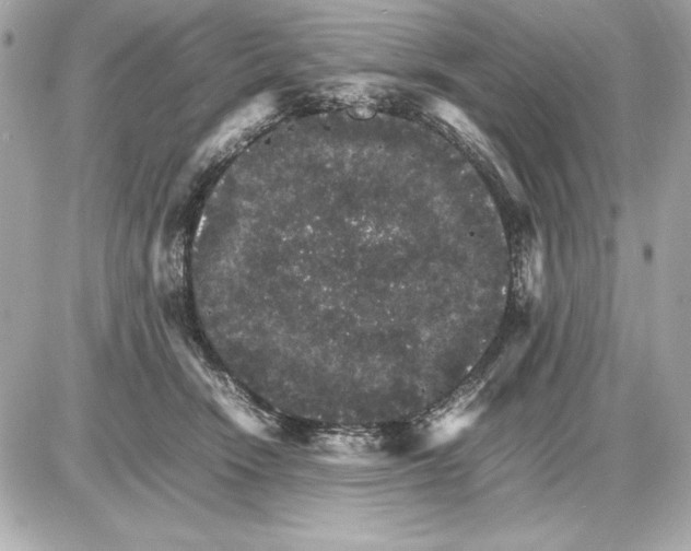 X0000085840466200704091728