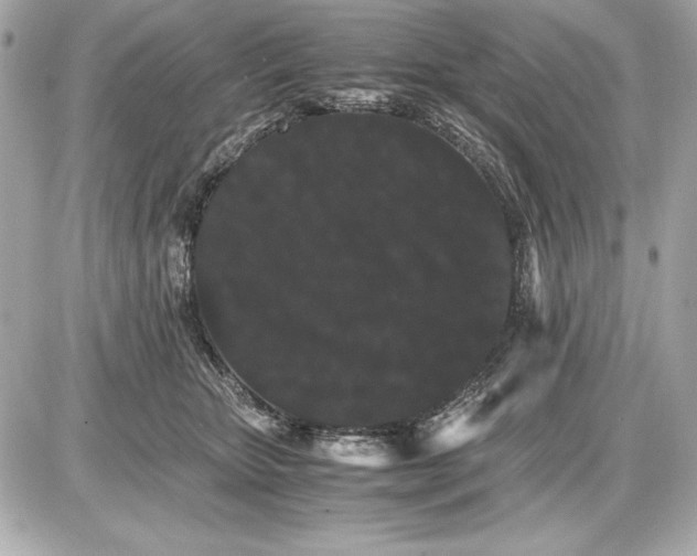 X0000085840467200704091728