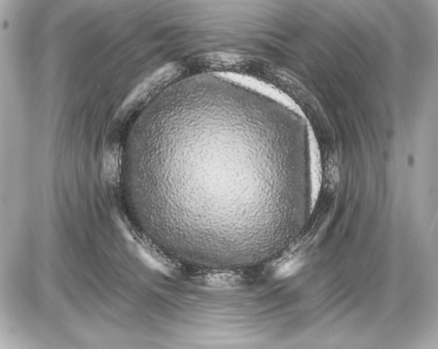 X0000085840468200704091728