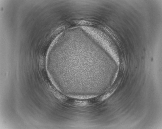 X0000085840469200704091728