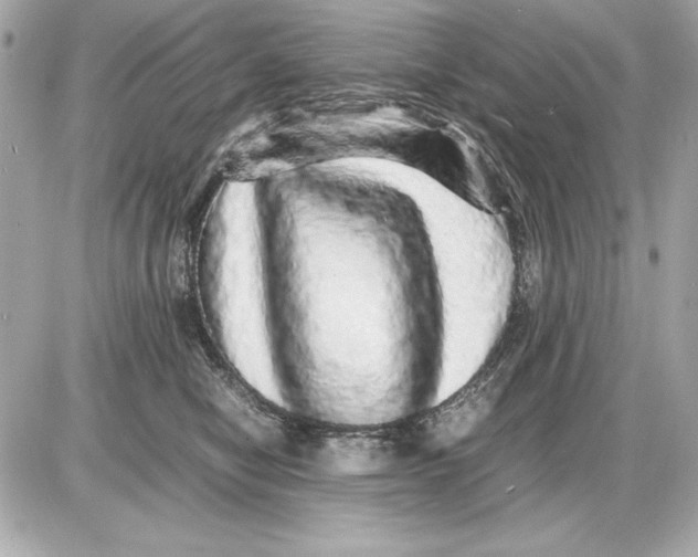 X0000085840470200704091728