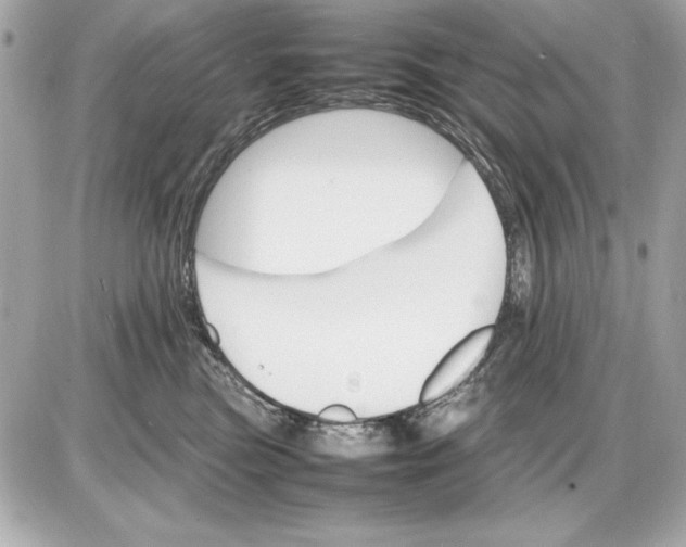 X0000085840473200704091728