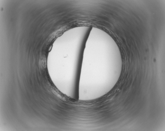 X0000085840474200704091728