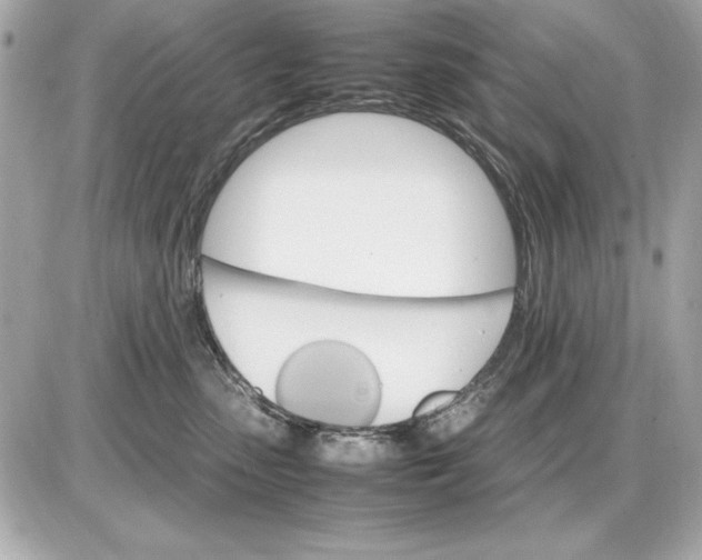 X0000085840475200704091728