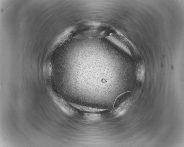 X0000085840476200704091728