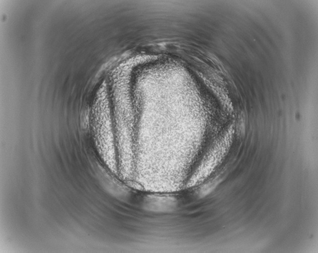 X0000085840477200704091728