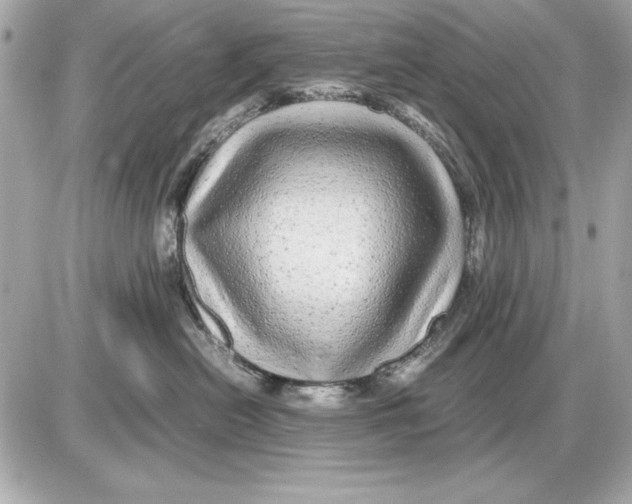 X0000085840478200704091728