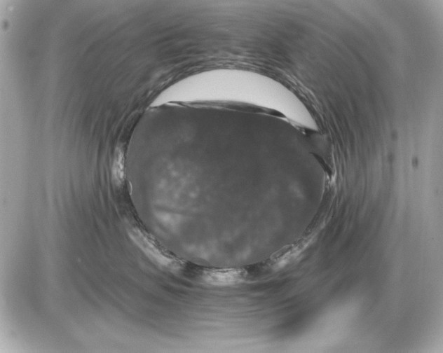 X0000085840479200704091728