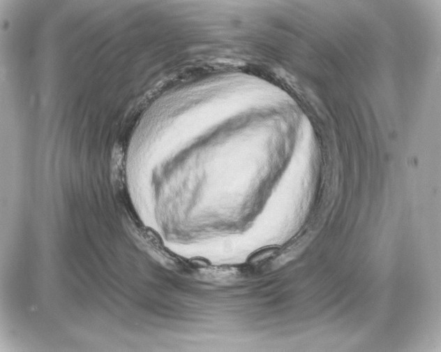 X0000085840480200704091728