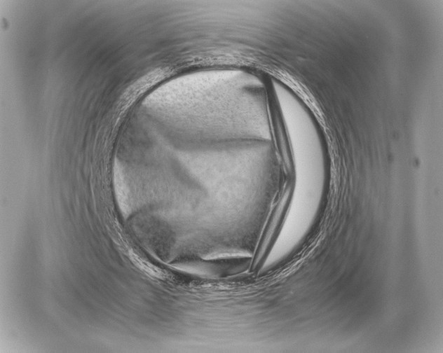 X0000085840481200704091727