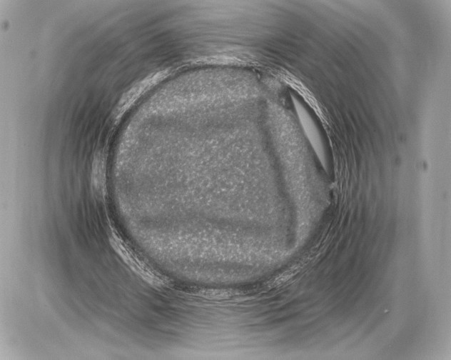 X0000085840482200704091727