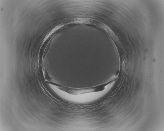 X0000085840484200704091727