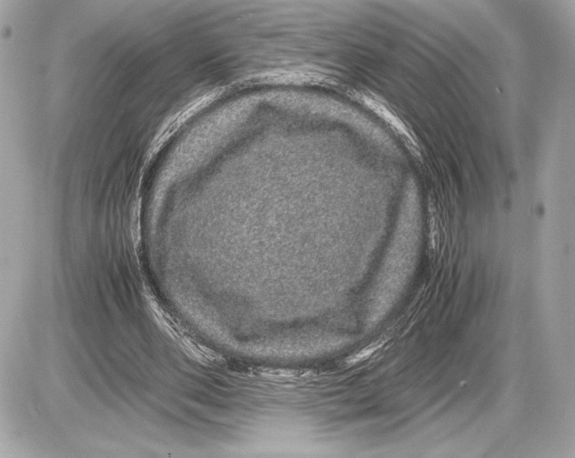 X0000085840486200704091727