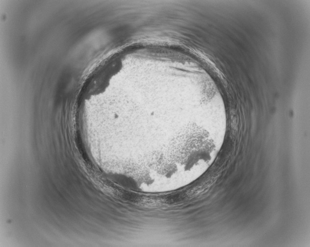 X0000085840487200704091727