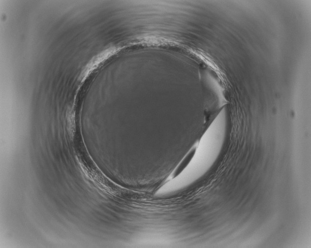 X0000085840488200704091727