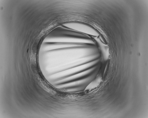 X0000085840489200704091727