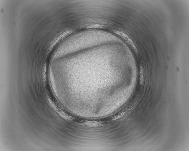 X0000085840490200704091727