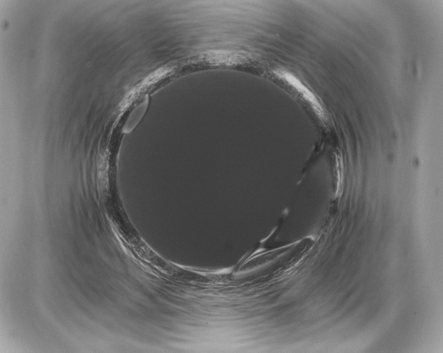 X0000085840492200704091727