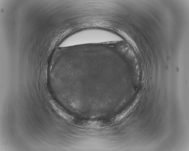 X0000085840493200704091727