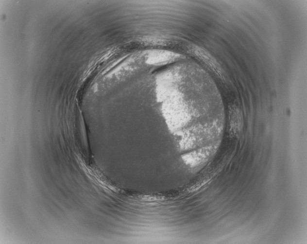 X0000085840494200704091727