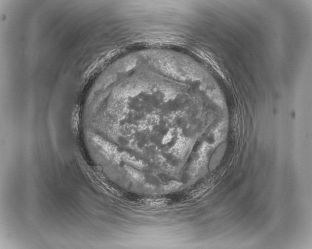 X0000085840495200704091727