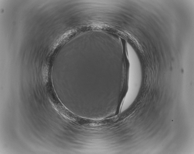 X0000085840496200704091727