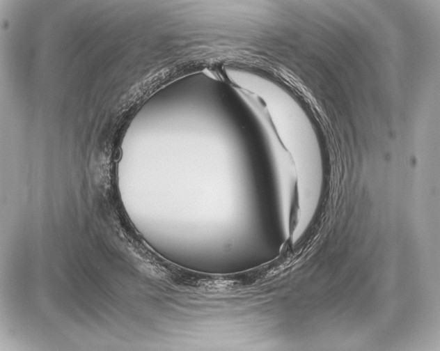 X0000085840497200704091727