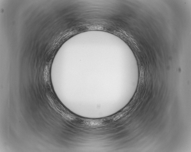 X0000085840498200704091727