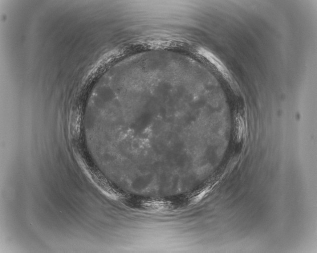 X0000085840499200704091727