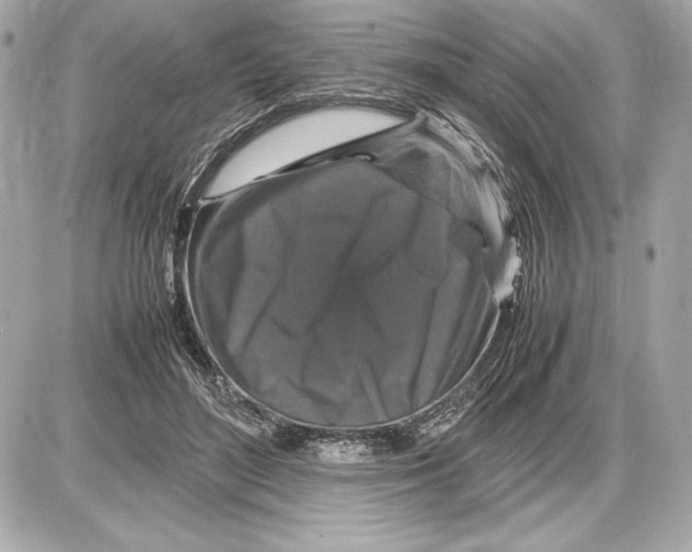 X0000085840500200704091727