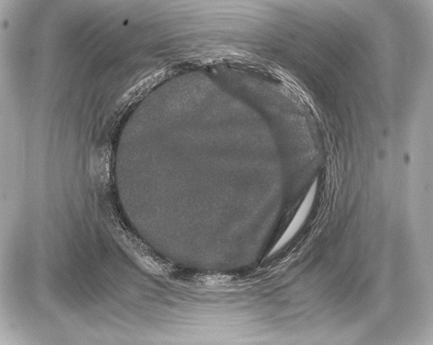 X0000085840501200704091727