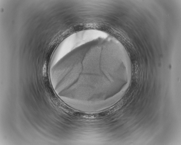 X0000085840502200704091727