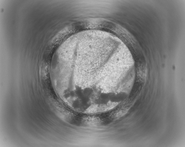 X0000085840503200704091727