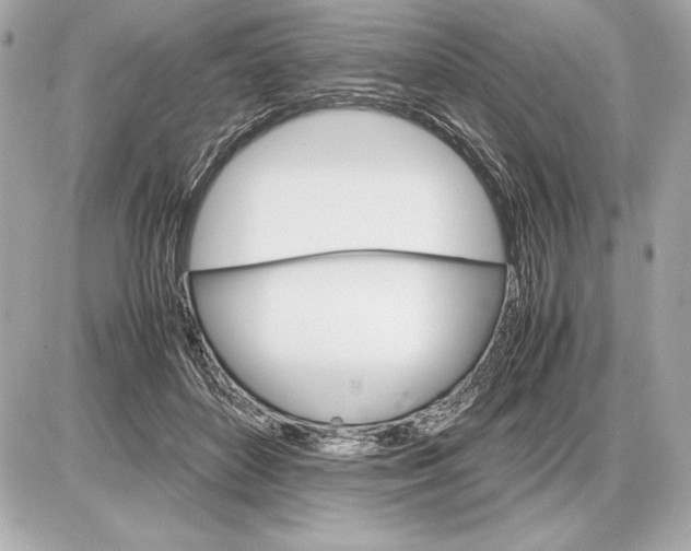 X0000085840504200704091727