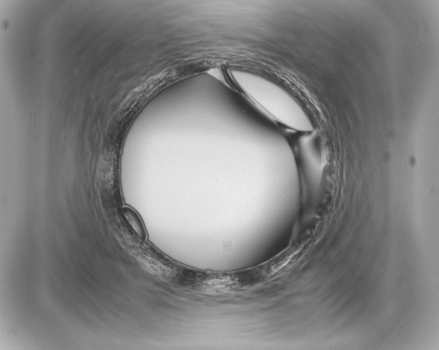 X0000085840505200704091727