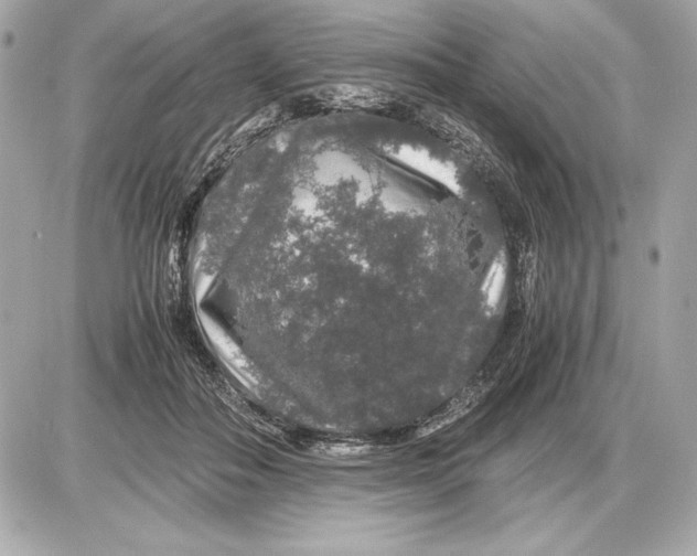 X0000085840506200704091727