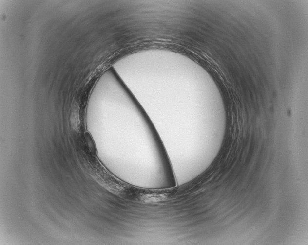 X0000085840508200704091727